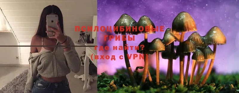 KRAKEN tor  Карабаш  Галлюциногенные грибы Magic Shrooms 